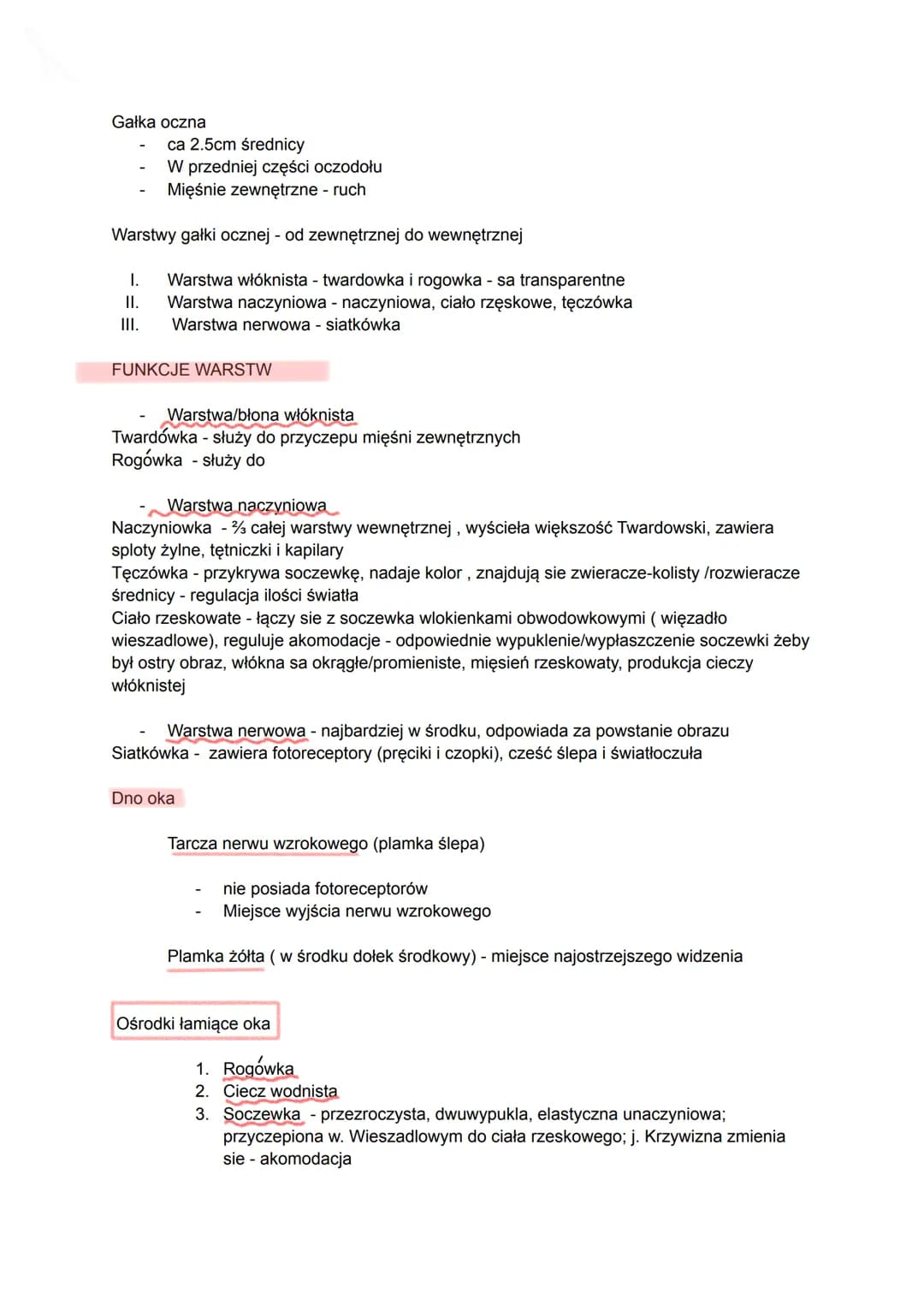 Oczodół
piramida
4 ściany
Kanał wzrokowy
Gałka oczna
Mięśnie oka
Gruczoł Izowy
Nerw wzrokowy - bodźce wzrokowe
Nerw oczny
Oko gałka oczna = 