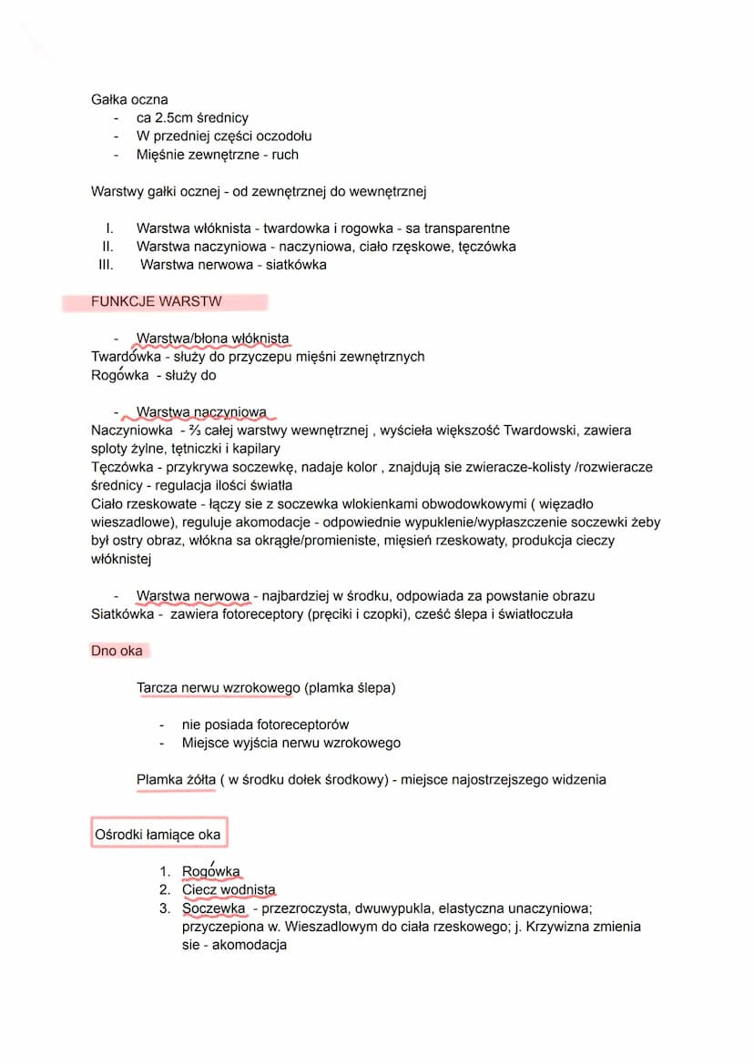Oczodół
piramida
4 ściany
Kanał wzrokowy
Gałka oczna
Mięśnie oka
Gruczoł Izowy
Nerw wzrokowy - bodźce wzrokowe
Nerw oczny
Oko gałka oczna = 