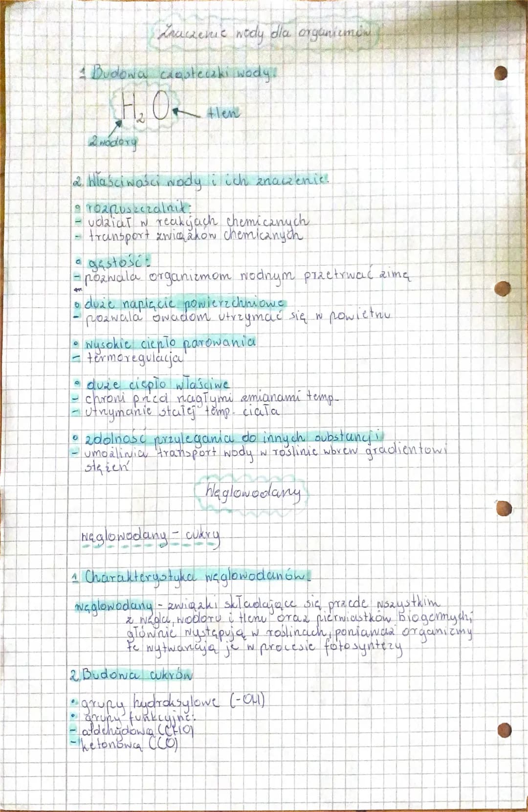 znaczenie wody dla organizmów 