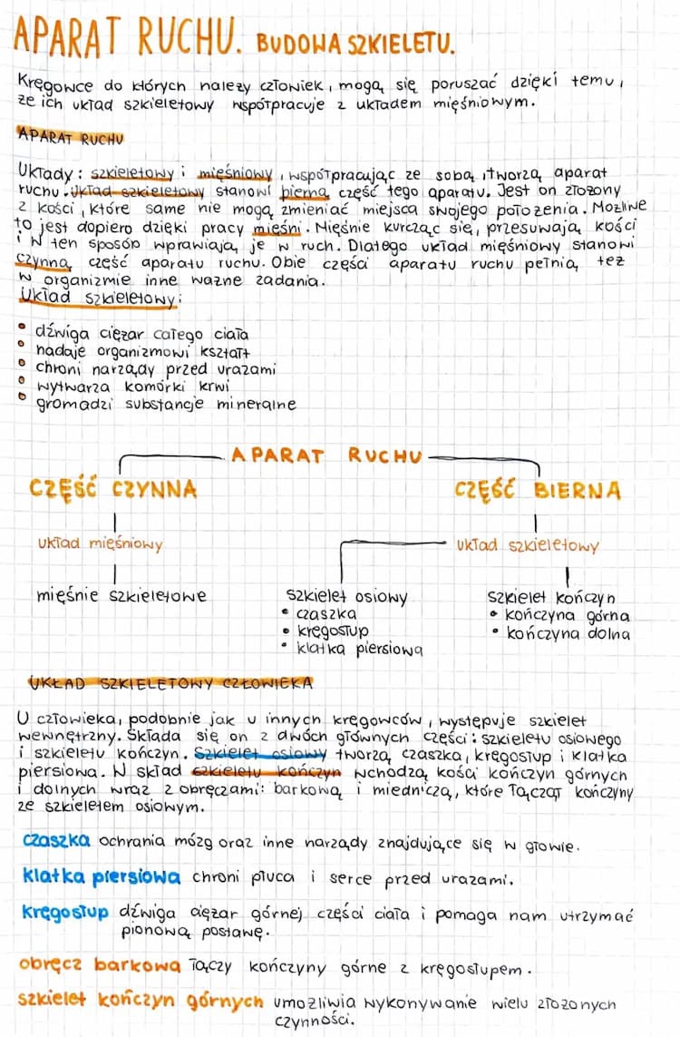 Know Aparat ruchu thumbnail