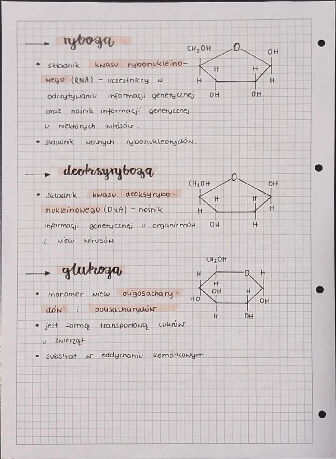 а
T
h
a
y
dy
RODZAJE SACHARYDOW
monosacharydy.
disacharydy
pousacharydy
Monosacharydy
i jeaną
maja kilka
grup hydroksylowych (-OH)
grupę
•
a