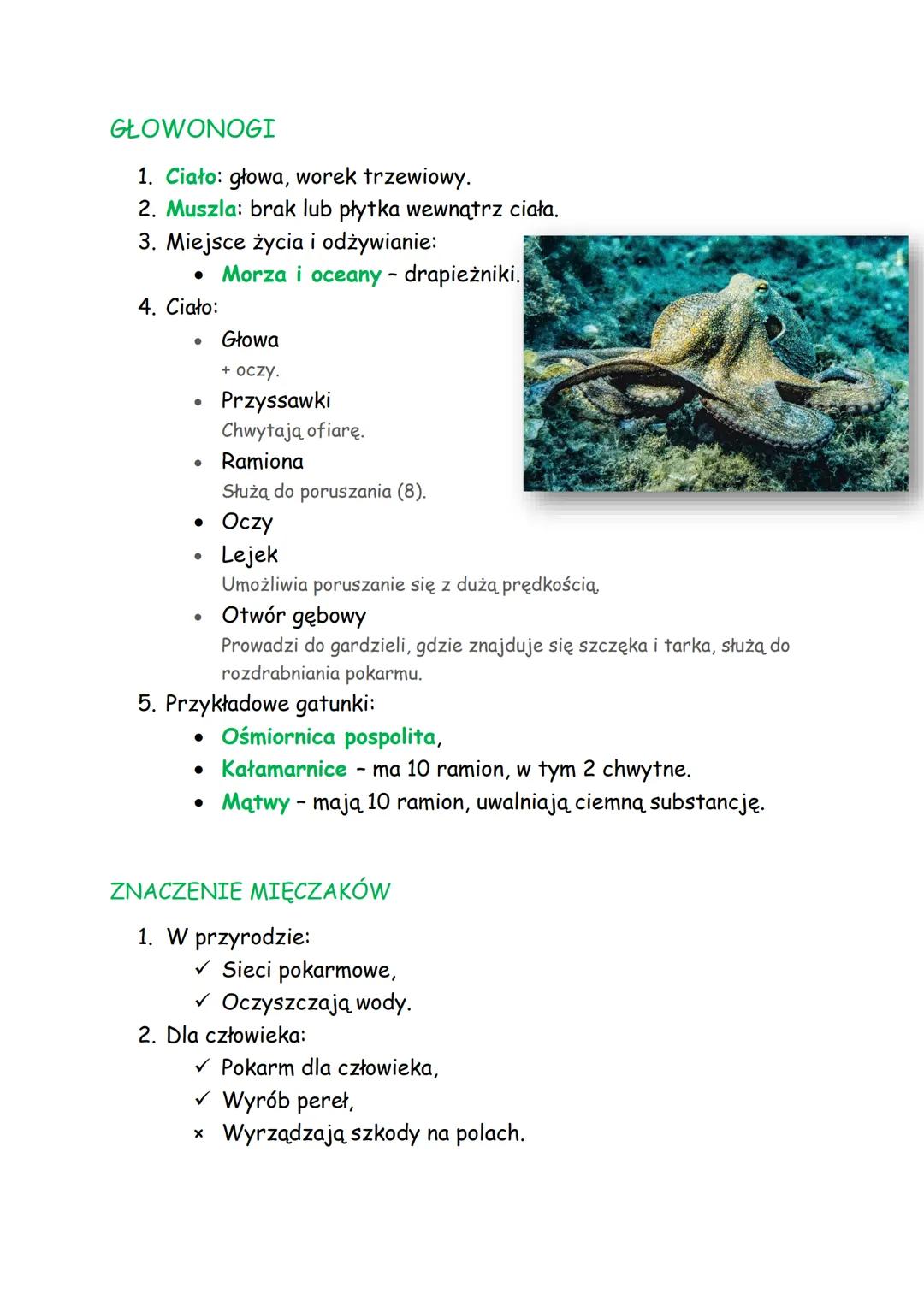 Temat: Mięczaki - zwierzęta, które mają muszle.

MIĘCZAKI

1. Miejsce życia:
*   Najczęściej wody słone, rzadziej słodkie,
*   Nieliczne na 