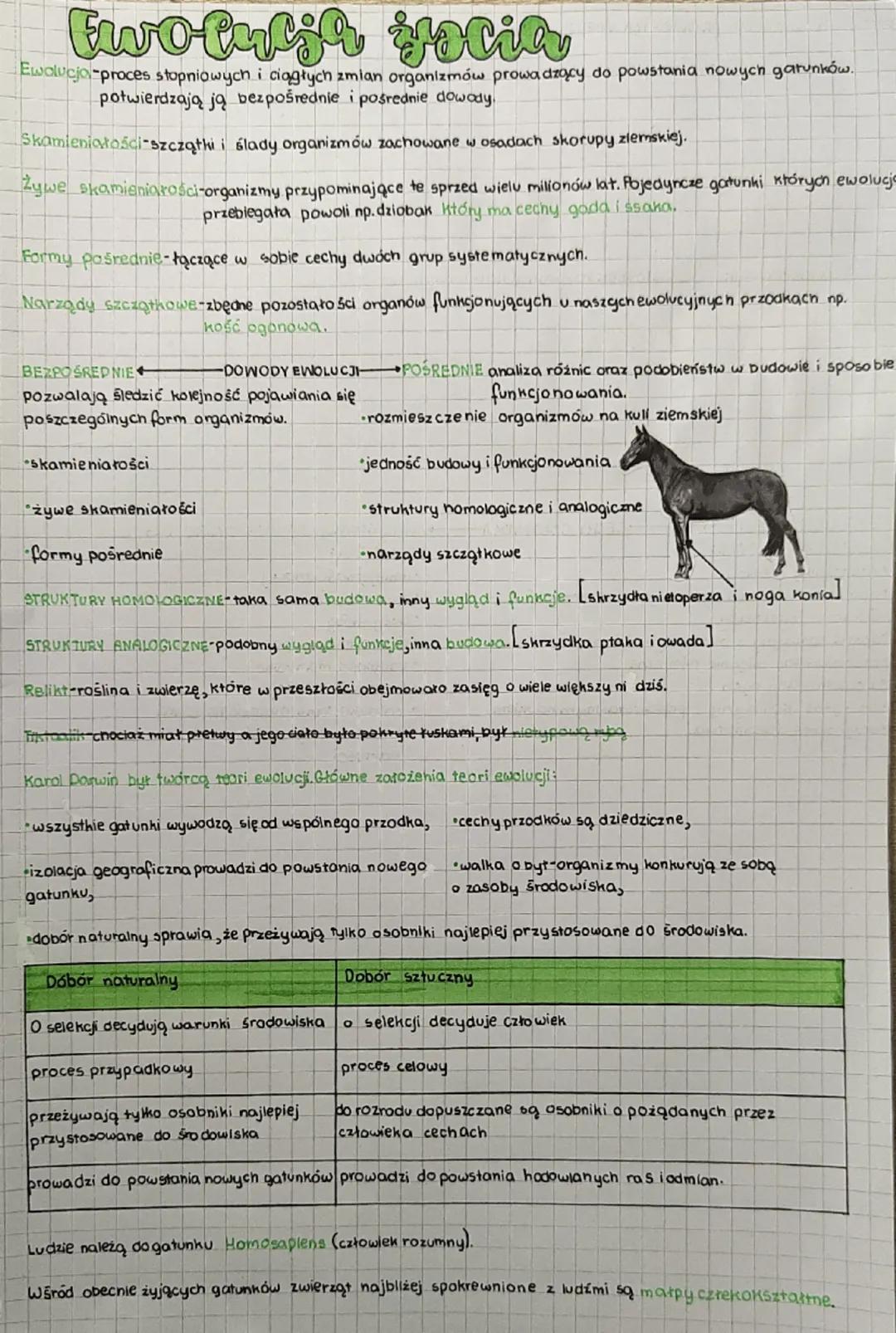 # Ewo-Culja zacia

Ewolucja proces stopniowych i ciągłych zmian organizmów prowadzący do powstania nowych gatunków.
potwierdzają ją bezpośre