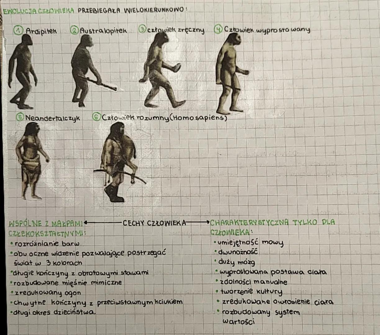 # Ewo-Culja zacia

Ewolucja proces stopniowych i ciągłych zmian organizmów prowadzący do powstania nowych gatunków.
potwierdzają ją bezpośre