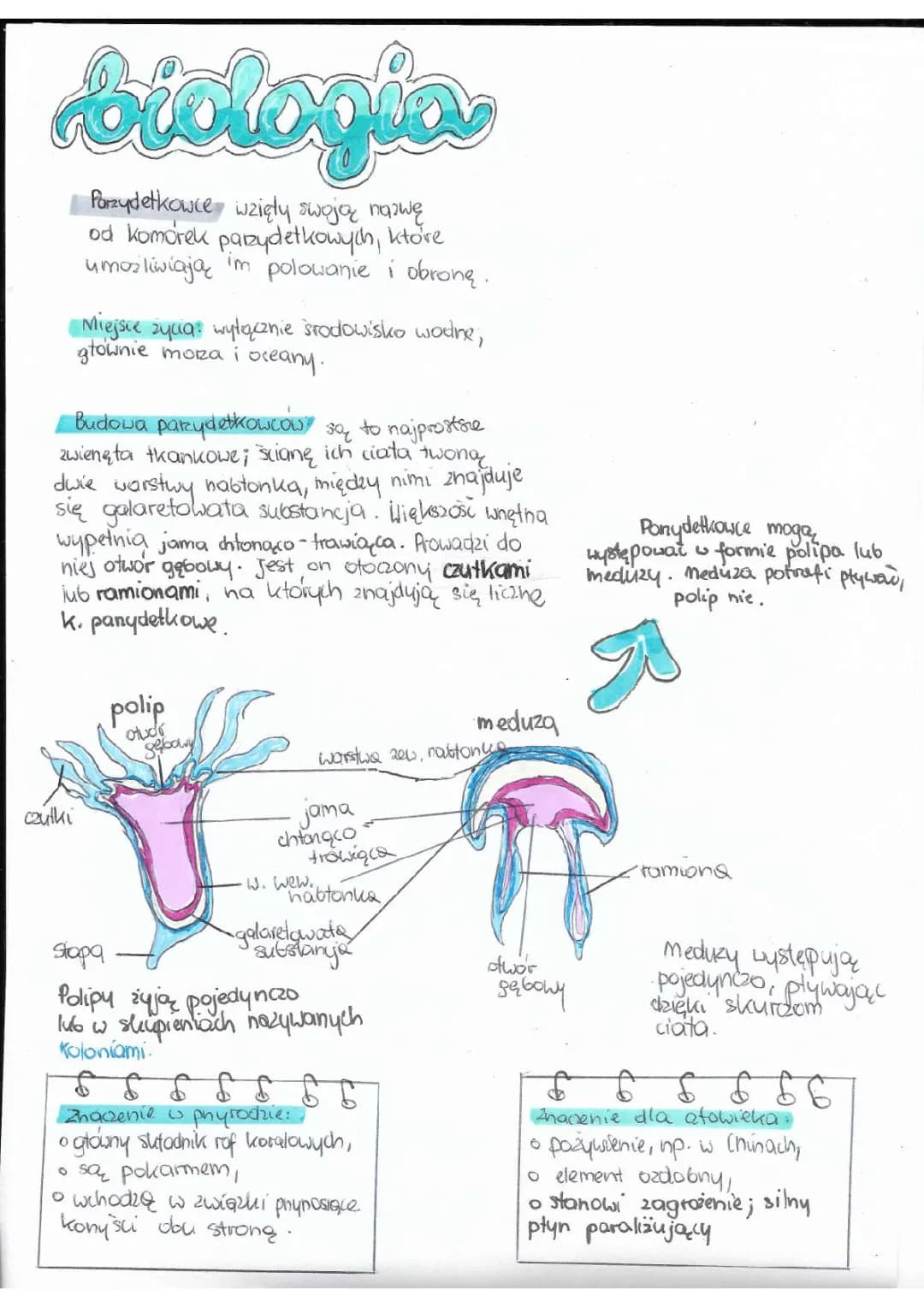 Parzydełkowce - Notatka do Biologii Klasa 6