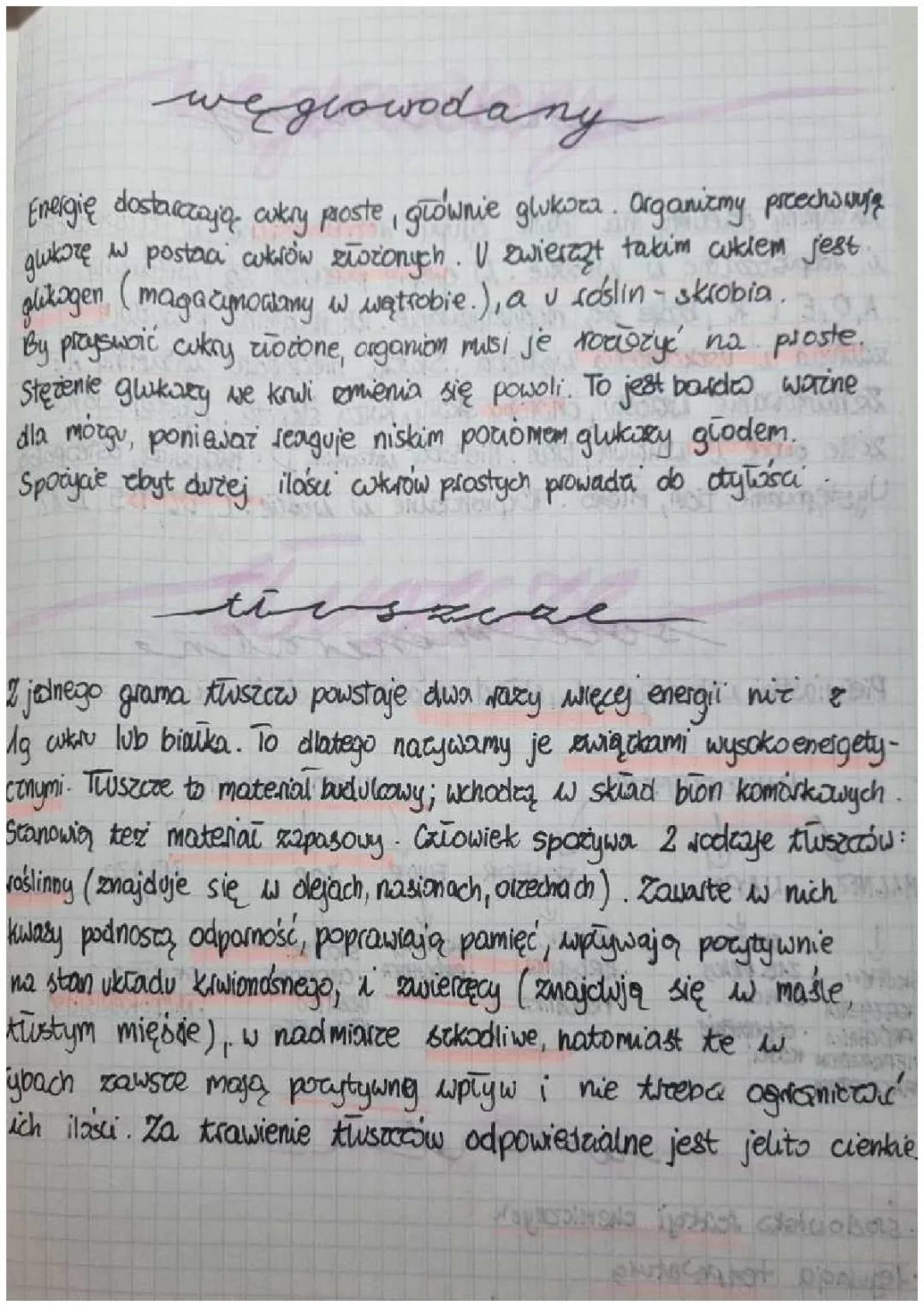 Układ Pokarmowy: Notatki do Nauki