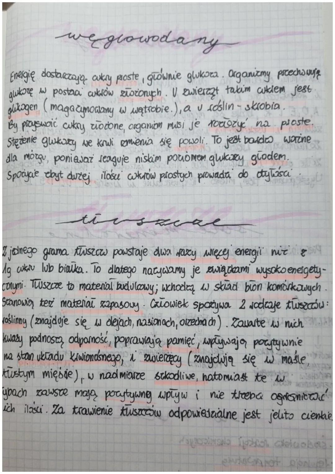węglowodany
Energię dostarczają, cukry proste, głównie glukoza. Organizmy przechowują
дшколе
glukorę w postaci cukrów złożonych. V zwierzzt 