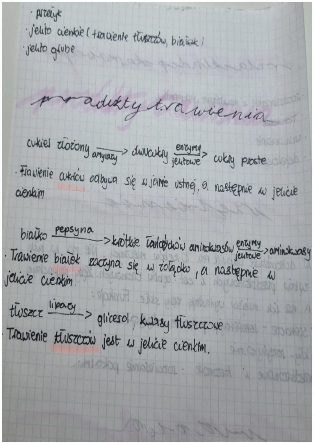 węglowodany
Energię dostarczają, cukry proste, głównie glukoza. Organizmy przechowują
дшколе
glukorę w postaci cukrów złożonych. V zwierzzt 