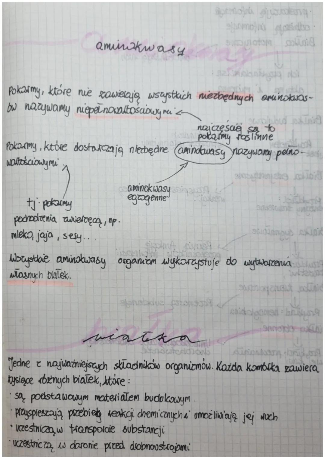 węglowodany
Energię dostarczają, cukry proste, głównie glukoza. Organizmy przechowują
дшколе
glukorę w postaci cukrów złożonych. V zwierzzt 