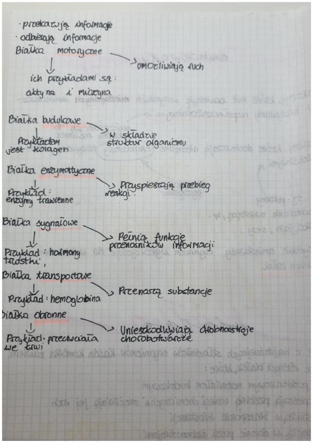 węglowodany
Energię dostarczają, cukry proste, głównie glukoza. Organizmy przechowują
дшколе
glukorę w postaci cukrów złożonych. V zwierzzt 