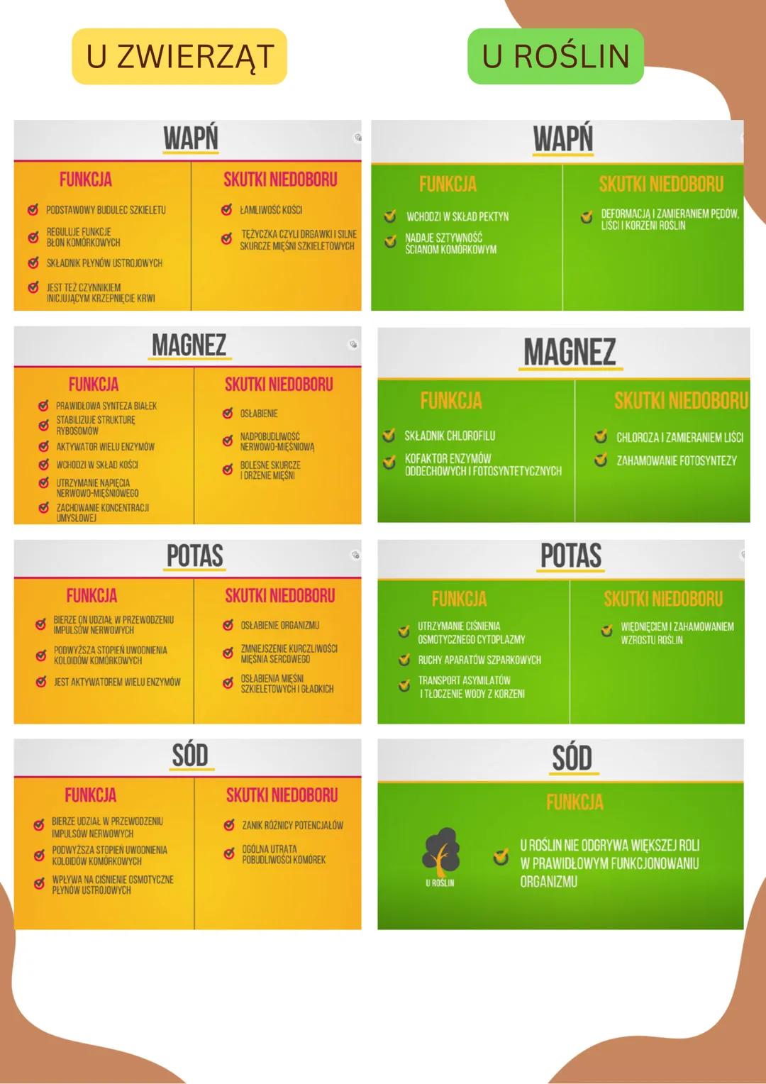 SKŁAD CHEMICZNY ORGANIZMÓW
Mikroelementy - ich zawartość w suchej
masie komórek wynosi poniżej 0,01%
Makroelementy- ich zawartość w
suchej m