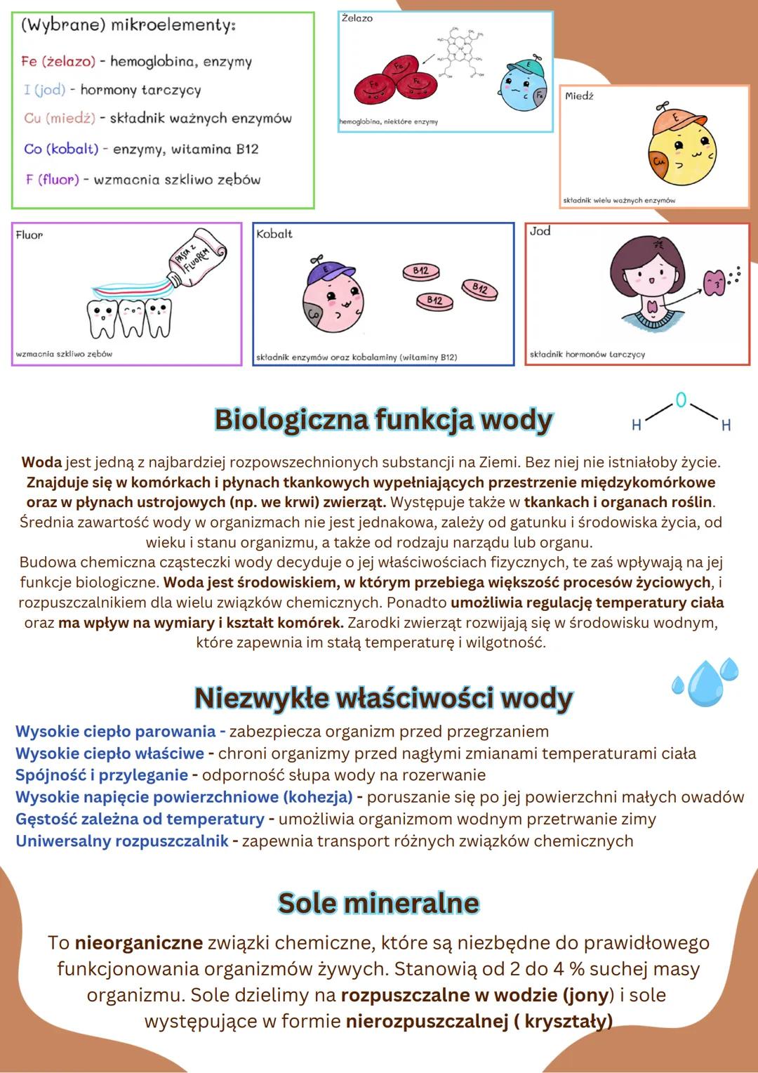 SKŁAD CHEMICZNY ORGANIZMÓW
Mikroelementy - ich zawartość w suchej
masie komórek wynosi poniżej 0,01%
Makroelementy- ich zawartość w
suchej m