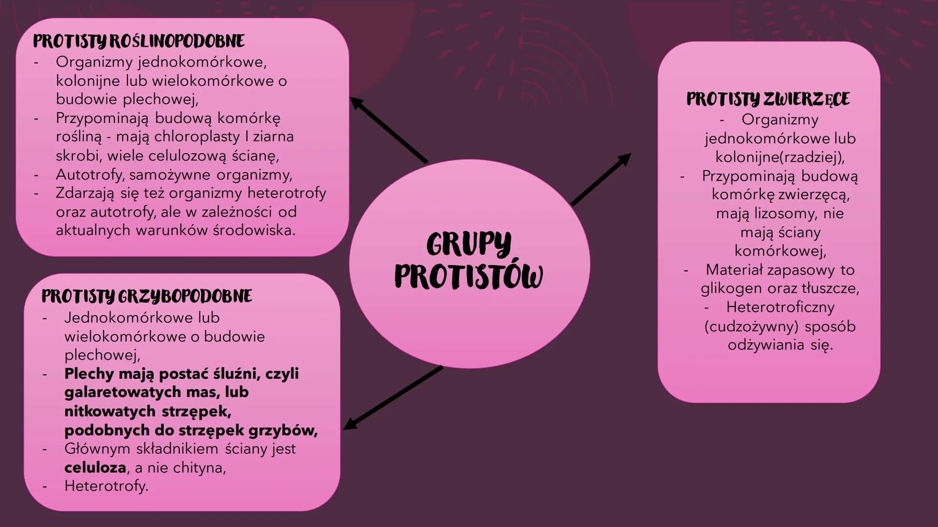 PROTISTY – PROSTE
ORGANIZMY
EUKARIOTYCZNE
RÓŻNORODNOŚĆ PROKARIONTÓW,
PROTISTÓW, GRZYBÓW I POROSTÓW CO TO PROTISTY?
●
Jest taksonem parafilet