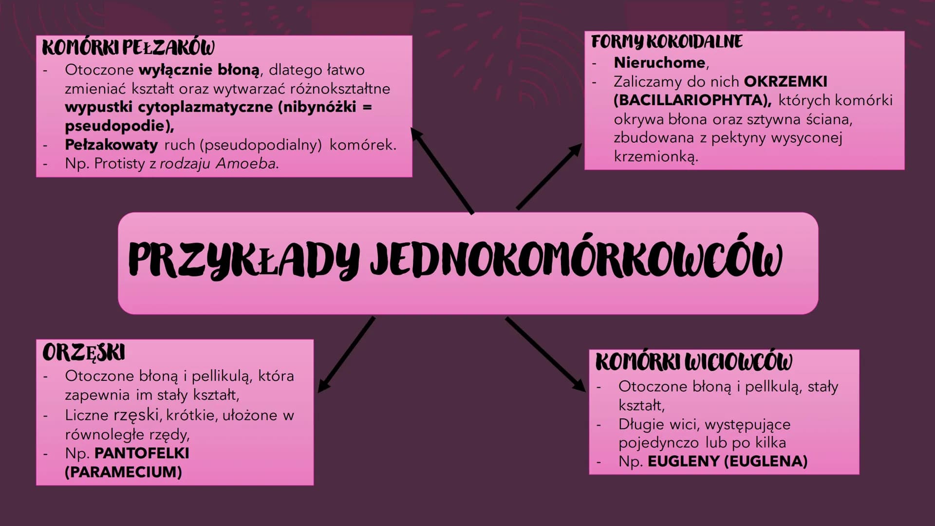 PROTISTY – PROSTE
ORGANIZMY
EUKARIOTYCZNE
RÓŻNORODNOŚĆ PROKARIONTÓW,
PROTISTÓW, GRZYBÓW I POROSTÓW CO TO PROTISTY?
●
Jest taksonem parafilet