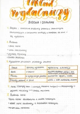 Know Układ wydalniczy thumbnail