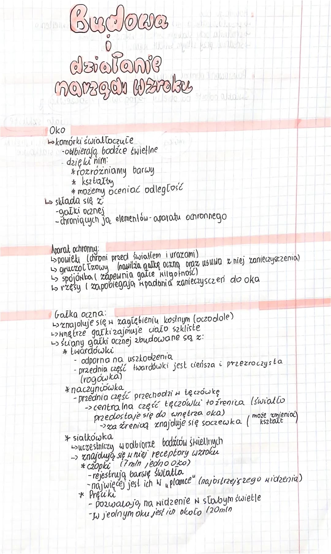 Budowa
pinsliste
Sieduse you
око
działanie
navzgdı Wzroku
1950S
aliy madala MCK MO
waponst illside ba hollo aban
Lokomorki świattoczułe
out 
