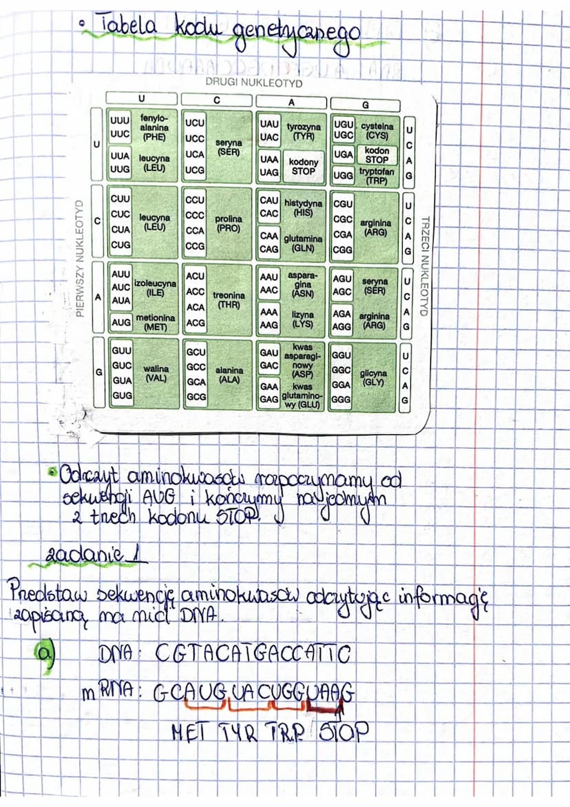 <h2 id="geneticcode">Genetic Code</h2>
<p>The genetic code is the way of encoding information about the structure of proteins in DNA. Each c