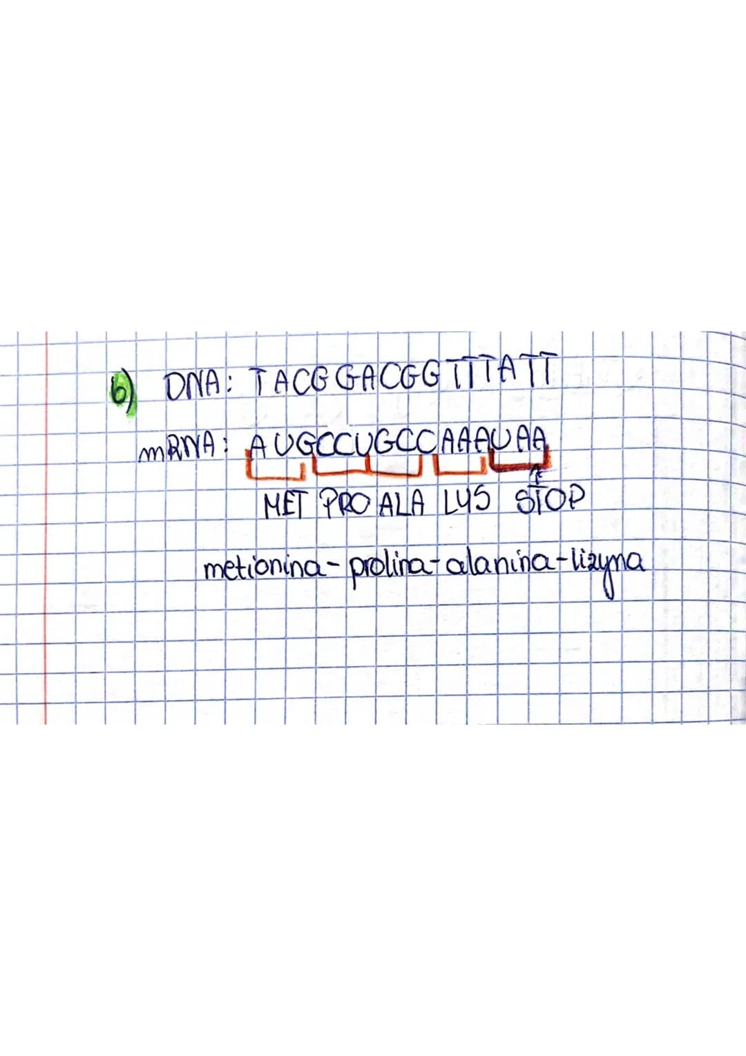 <h2 id="geneticcode">Genetic Code</h2>
<p>The genetic code is the way of encoding information about the structure of proteins in DNA. Each c
