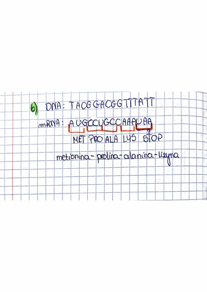 <h2 id="geneticcode">Genetic Code</h2>
<p>The genetic code is the way of encoding information about the structure of proteins in DNA. Each c