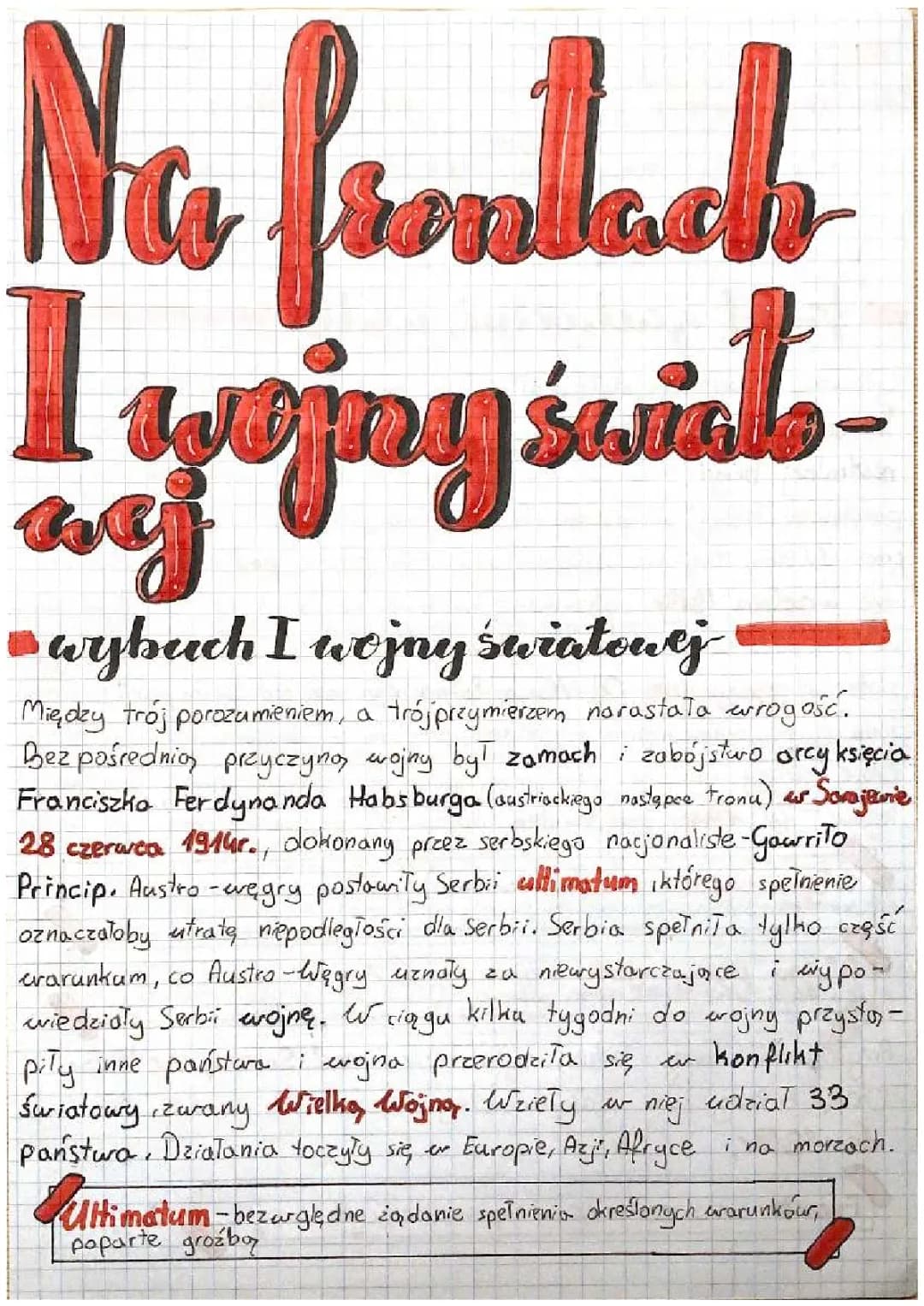 Na frontach I wojny światowej 