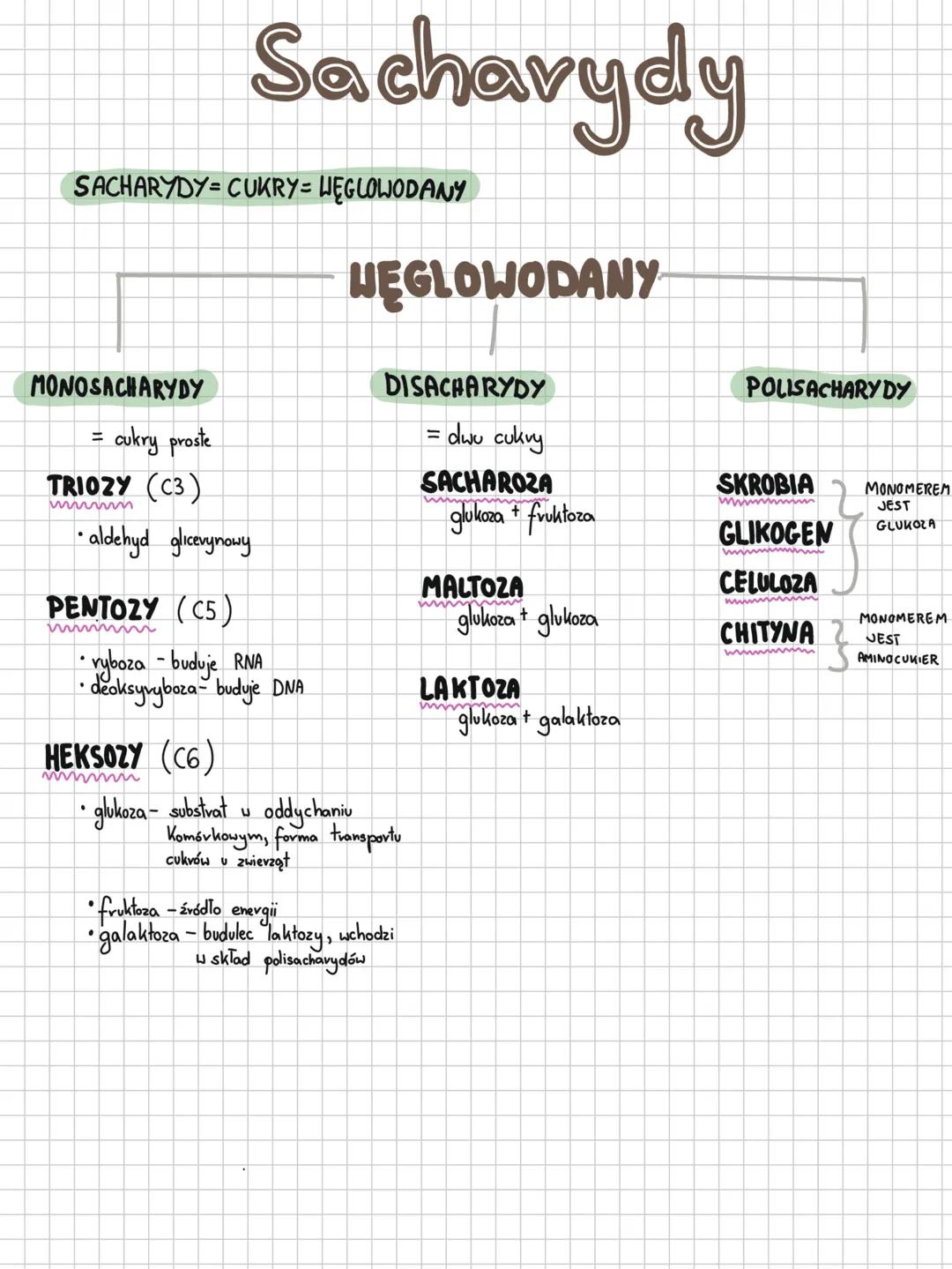 SACHARYDY-CUKRY WĘGLOWODANY
MONOSACHARYDY
cukry proste
TRIOZY (C3)
=
Sacharydy
•aldehyd glicerynowy.
PENTOZY (C5)
•ryboza-buduje RNA
•deoksy