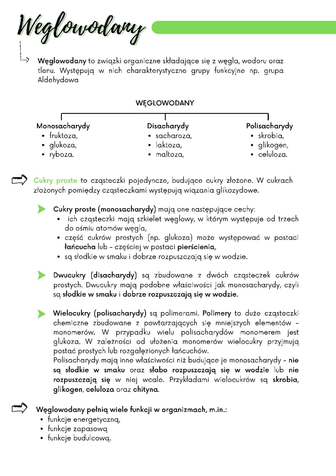 Węglowodany - Podział, Funkcje i Przykłady