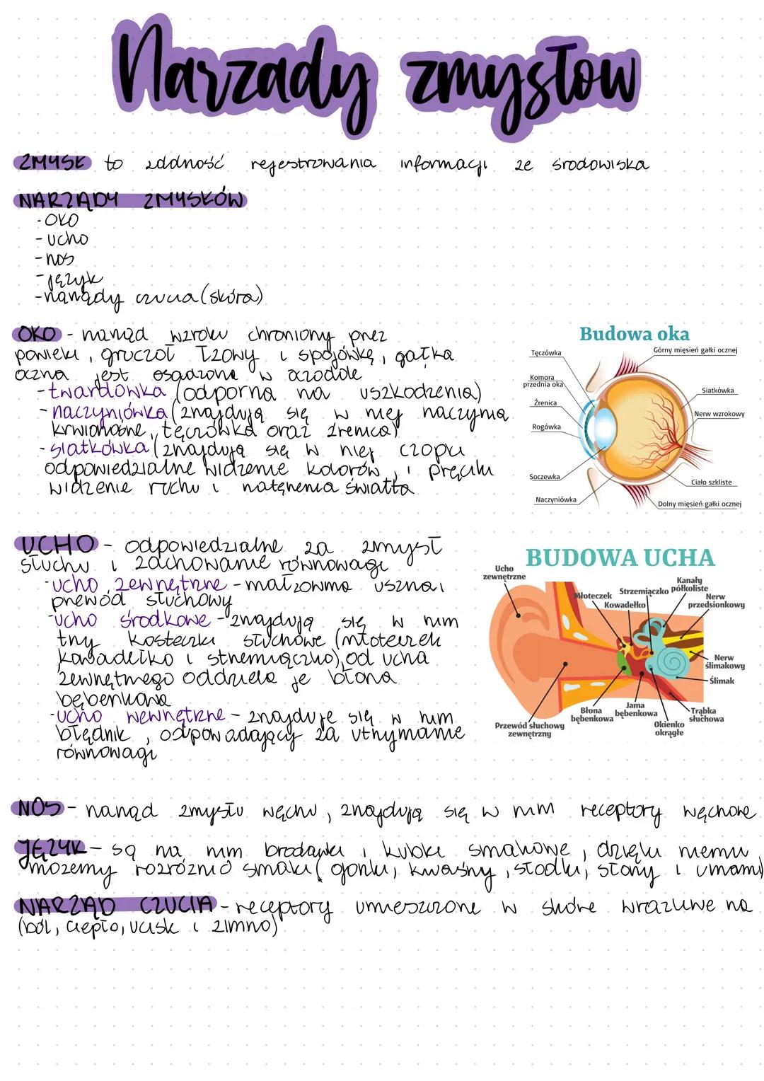# Narzady zmysłow

2MYSK to addność rejestrowania informaçı ze środowiska

NARZĄDY ZMYSKÓW

-OVO

- ucho

-nos

-nanady ruua (skóra)

OKO-ma
