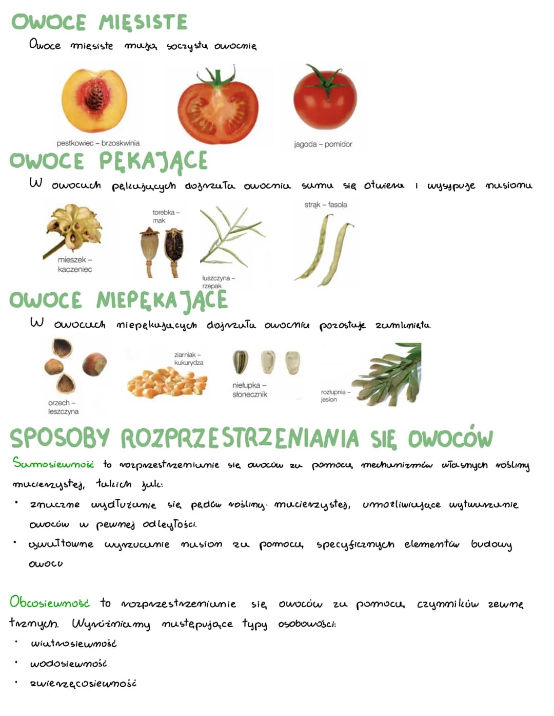 ROZPRZESTRZENIANIE SIĘ
BUDOWA OWOCÓW
Typowy owoc jest zbudowumy z jednego lub kilku musion ONU2 2 owocni.
W owocuch właściwych obie te częśc