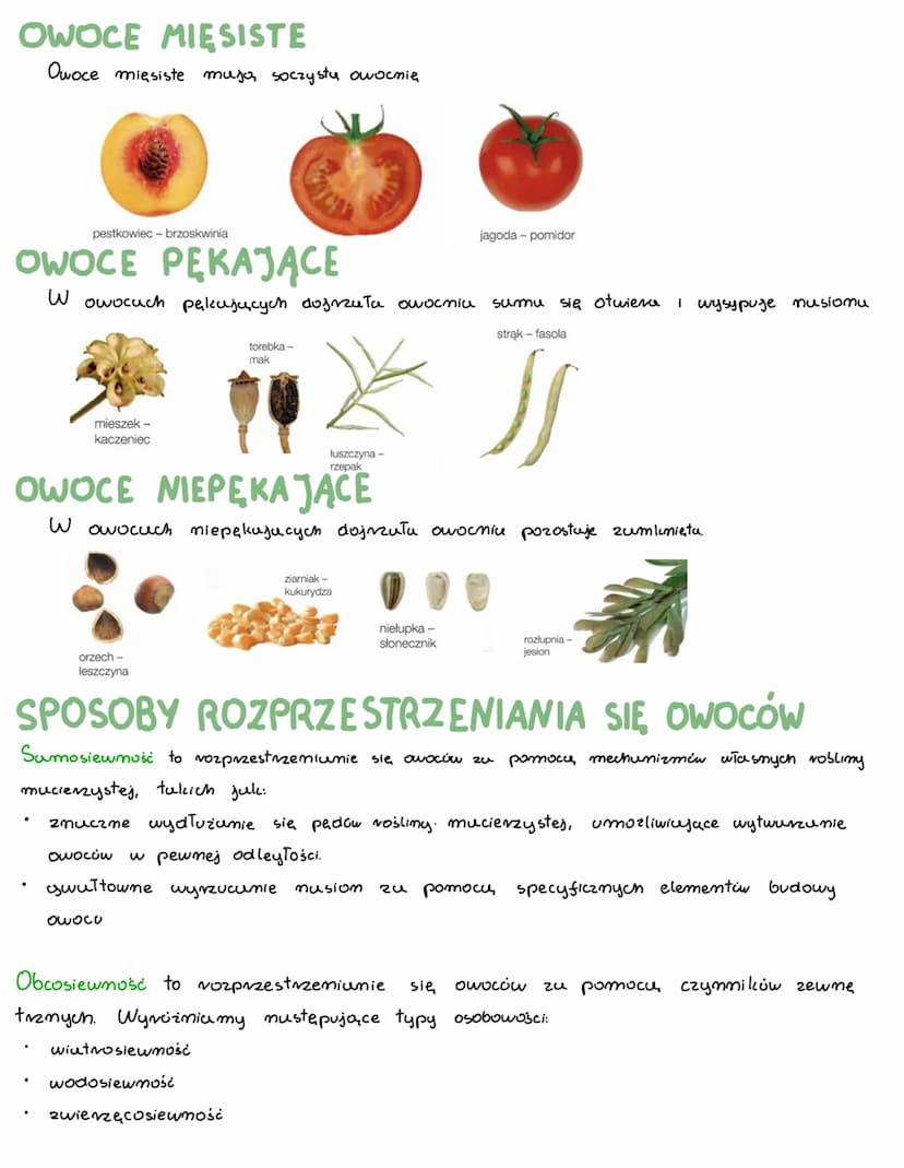 ROZPRZESTRZENIANIE SIĘ
BUDOWA OWOCÓW
Typowy owoc jest zbudowumy z jednego lub kilku musion ONU2 2 owocni.
W owocuch właściwych obie te częśc