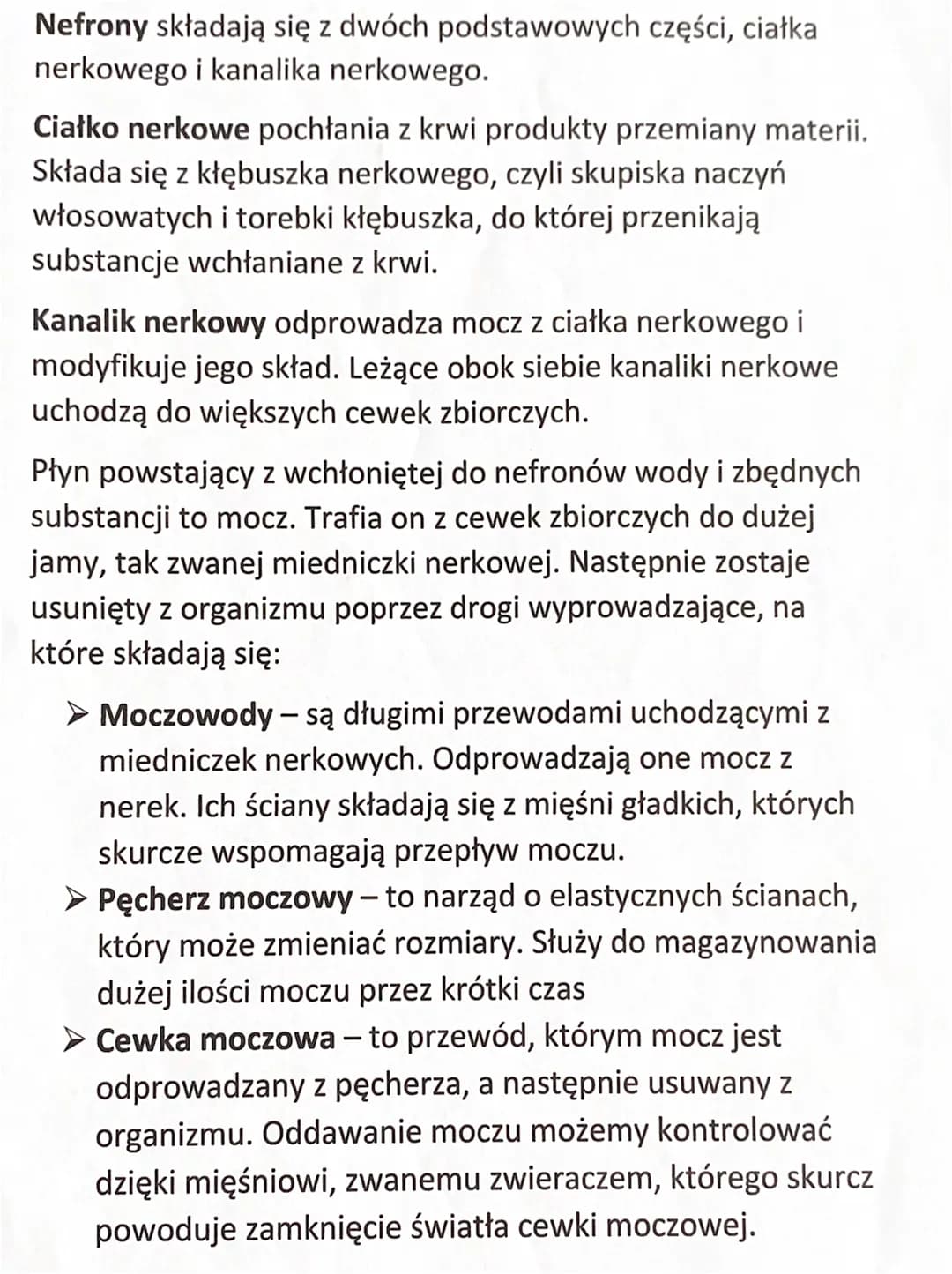Budowa układu wydalniczego
Narządy układu wydalniczego:
Dwie nerki
> Dwa moczowody
Pęcherz moczowy
Cewka moczowa
Nerki leżą w tylnej części 