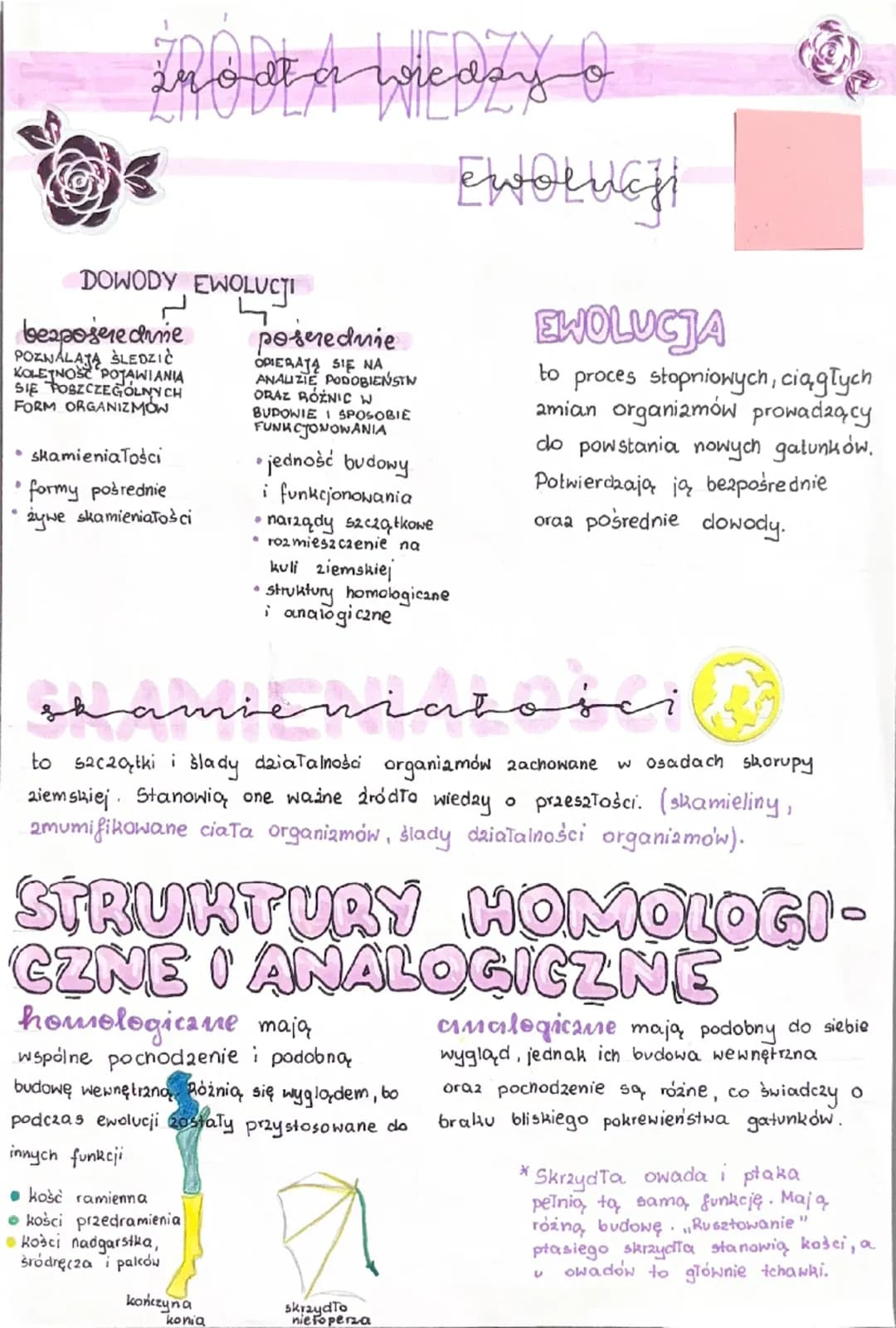 info at a Wieday
poserednie
DOWODY EWOLUCJI
bezpośrednie
POZNALAJĄ ŚLEDZIĆ
KOLEJNOST POJAWIANIA
SIĘ POSZCZEGÓLNYCH
FORM ORGANIZMOW
•
⚫skamie