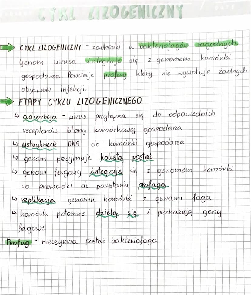 WIRUSY
WIRUSY to czynniki zakaźne zbudowane
kwasu nukleinowego
nanometrów. Są wewnątrzkomórkowymi pasożytami i atakują
praktycznie wszystkie