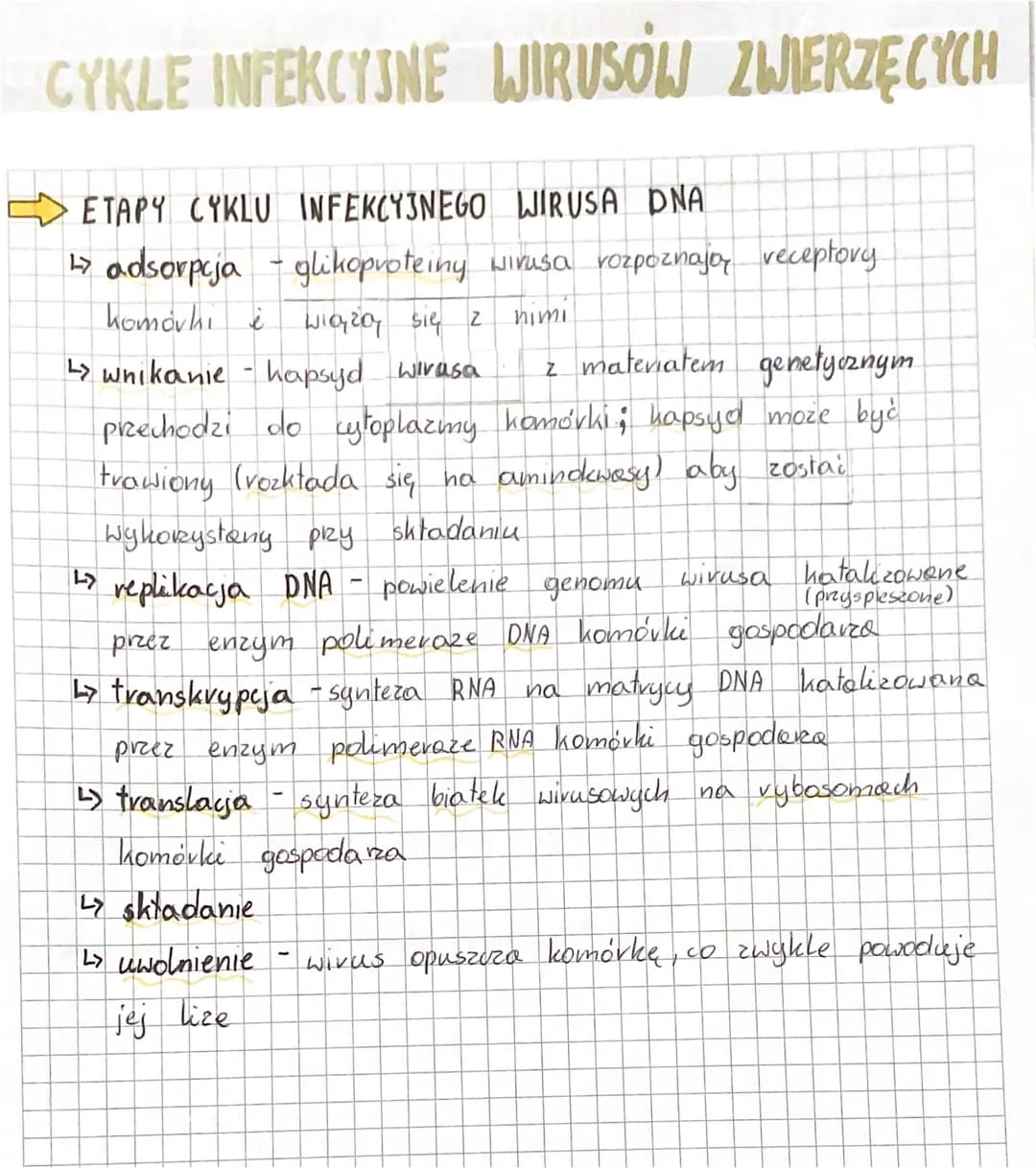 WIRUSY
WIRUSY to czynniki zakaźne zbudowane
kwasu nukleinowego
nanometrów. Są wewnątrzkomórkowymi pasożytami i atakują
praktycznie wszystkie