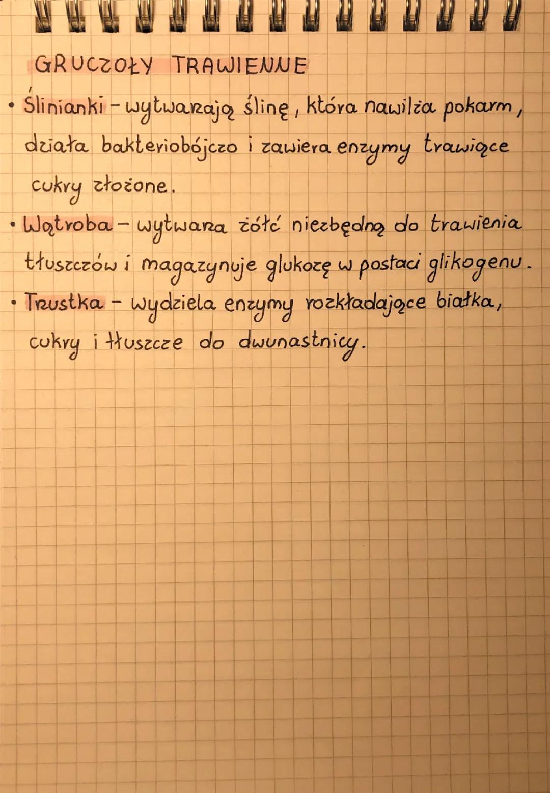 --- OCR Start ---
UKŁAD POKARMOWY
ROLA UKŁADU POKARMOWEGO
• Rozdrabnianie i nawilżanie pokarmu.
• Trawienie (rozkład substancji odżywczych n
