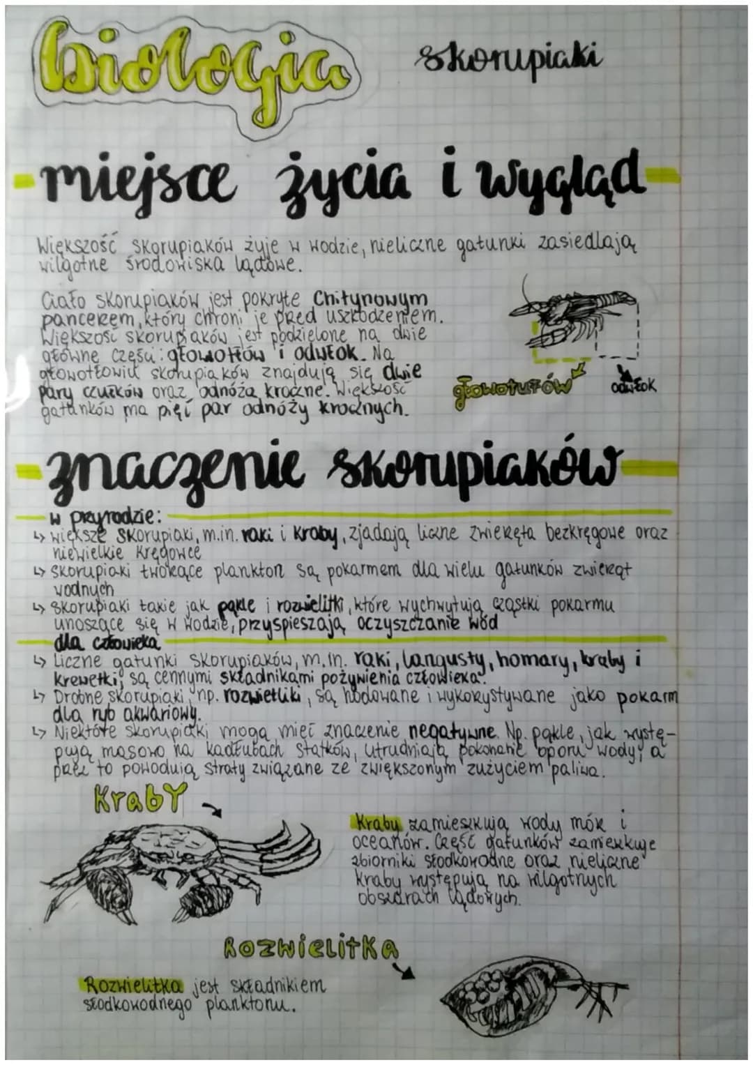 biologico Shorupiake
miejsce życia i wygląd
Większość skorupiaków żyje w wodzie, nieliczne gatunki zasiedlają
wilgotne środowiska lądowe.
Ci