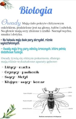 Know Owady Biologia thumbnail