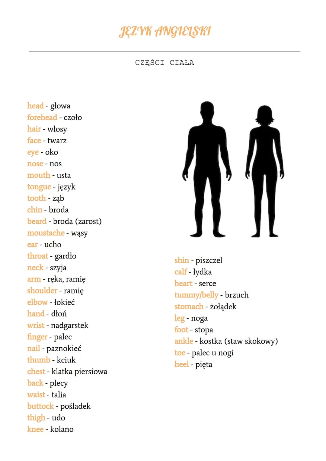 head - głowa
forehead - czoło
hair - włosy
face - twarz
eye-oko
nose - noS
mouth - usta
tongue - język
tooth-ząb
chin - broda
beard-broda (z