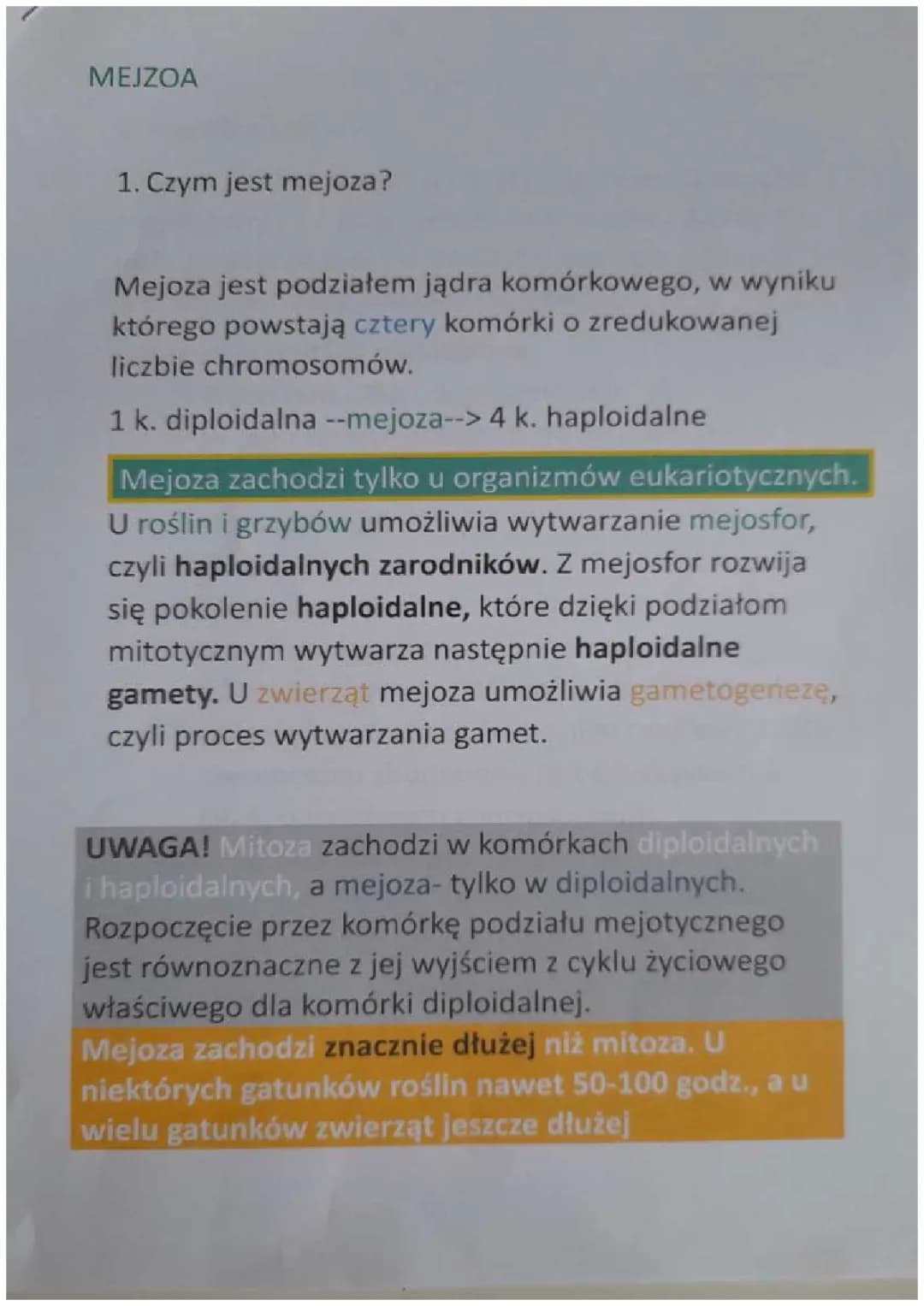 Mitoza i Mejoza: Co to Jest i Jak Działa?