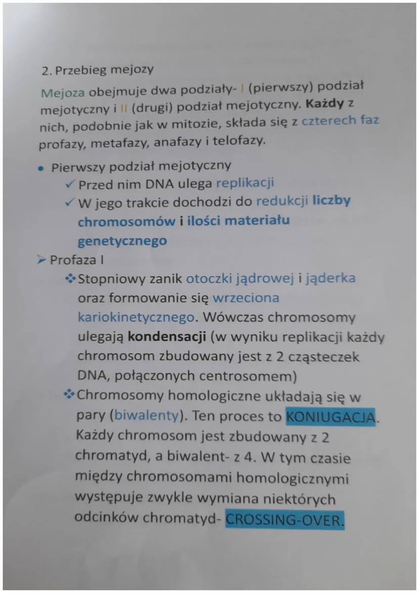 MEJZOA
1. Czym jest mejoza?
Mejoza jest podziałem jądra komórkowego, w wyniku
którego powstają cztery komórki o zredukowanej
liczbie chromos