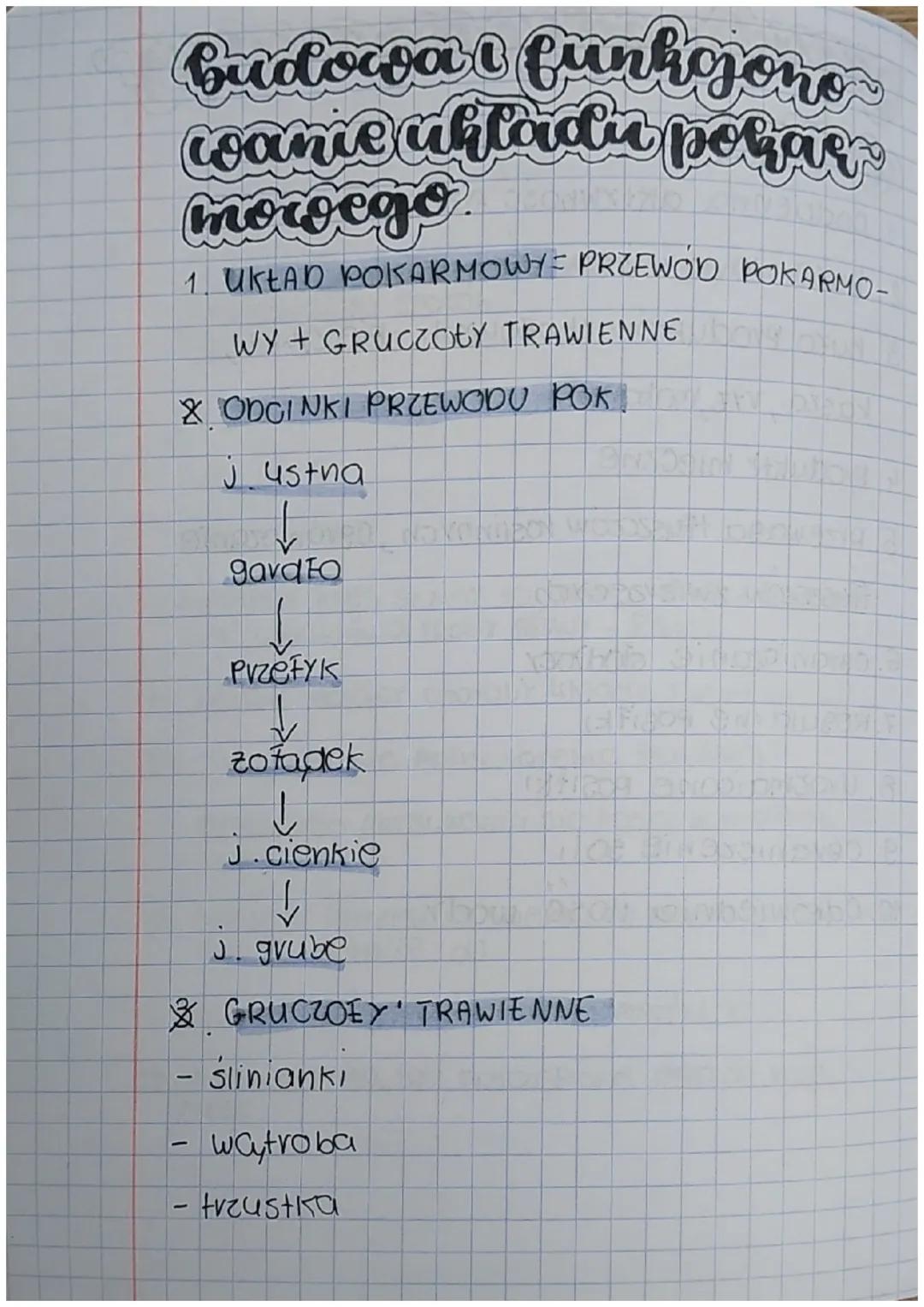 Budowa i funkojono
wanie ukladu pokar
mowego.
1. UKŁAD POKARMOWY- PRZEWOD POKARMO-
WY+GRUCZOŁY TRAWIENNE
X ODCINKI PRZEWODU POK
j ustna
↓
ga