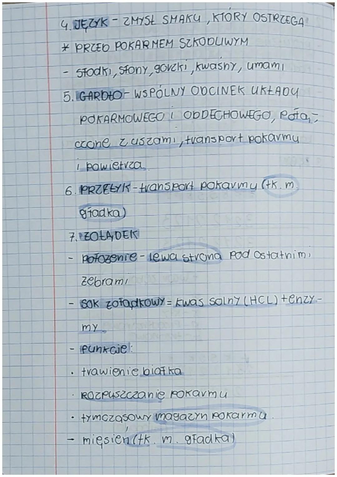 Budowa i funkojono
wanie ukladu pokar
mowego.
1. UKŁAD POKARMOWY- PRZEWOD POKARMO-
WY+GRUCZOŁY TRAWIENNE
X ODCINKI PRZEWODU POK
j ustna
↓
ga