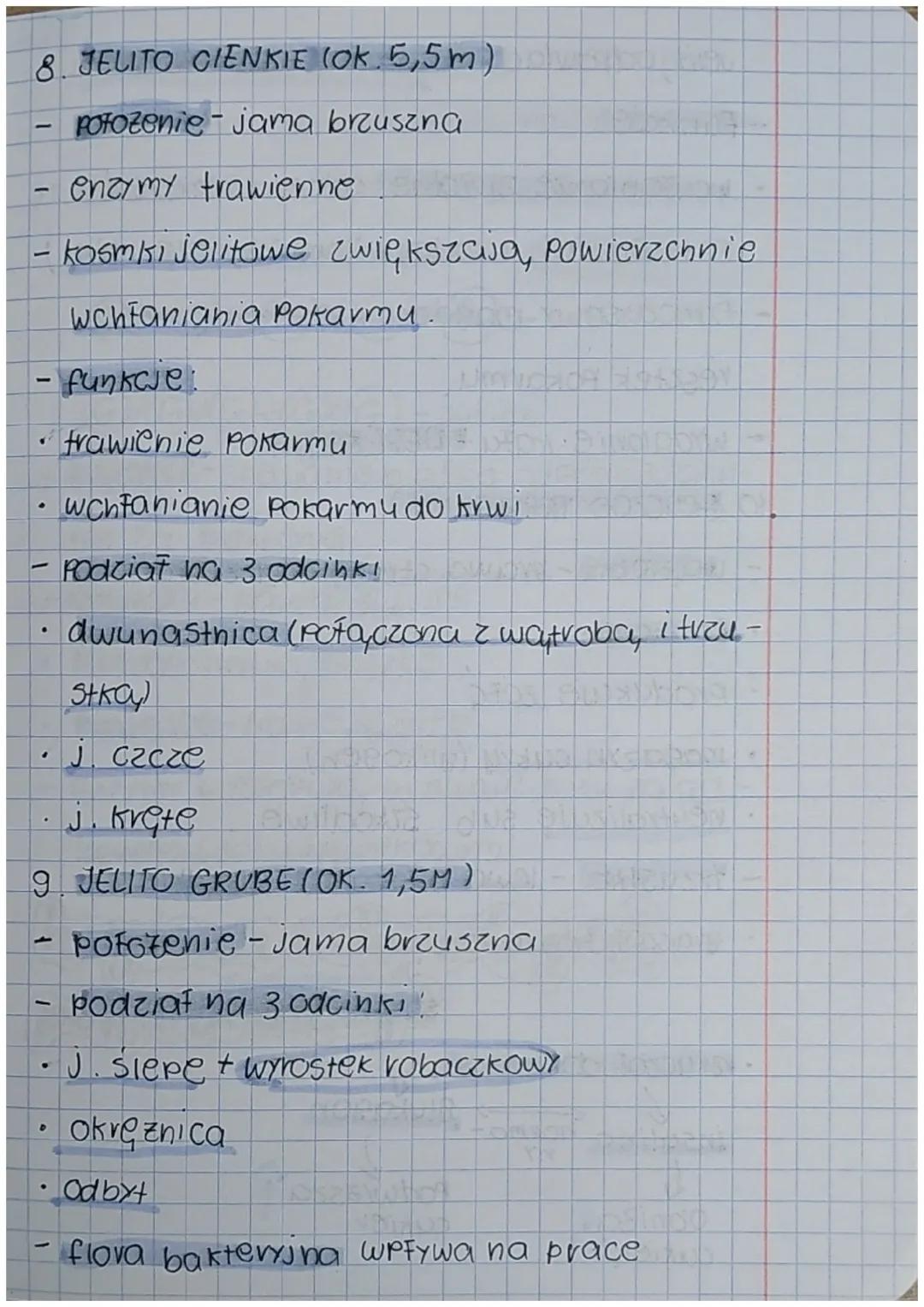 Budowa i funkojono
wanie ukladu pokar
mowego.
1. UKŁAD POKARMOWY- PRZEWOD POKARMO-
WY+GRUCZOŁY TRAWIENNE
X ODCINKI PRZEWODU POK
j ustna
↓
ga