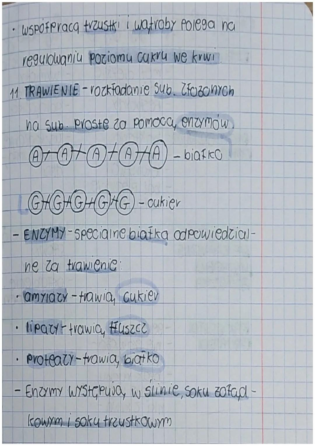 Budowa i funkojono
wanie ukladu pokar
mowego.
1. UKŁAD POKARMOWY- PRZEWOD POKARMO-
WY+GRUCZOŁY TRAWIENNE
X ODCINKI PRZEWODU POK
j ustna
↓
ga