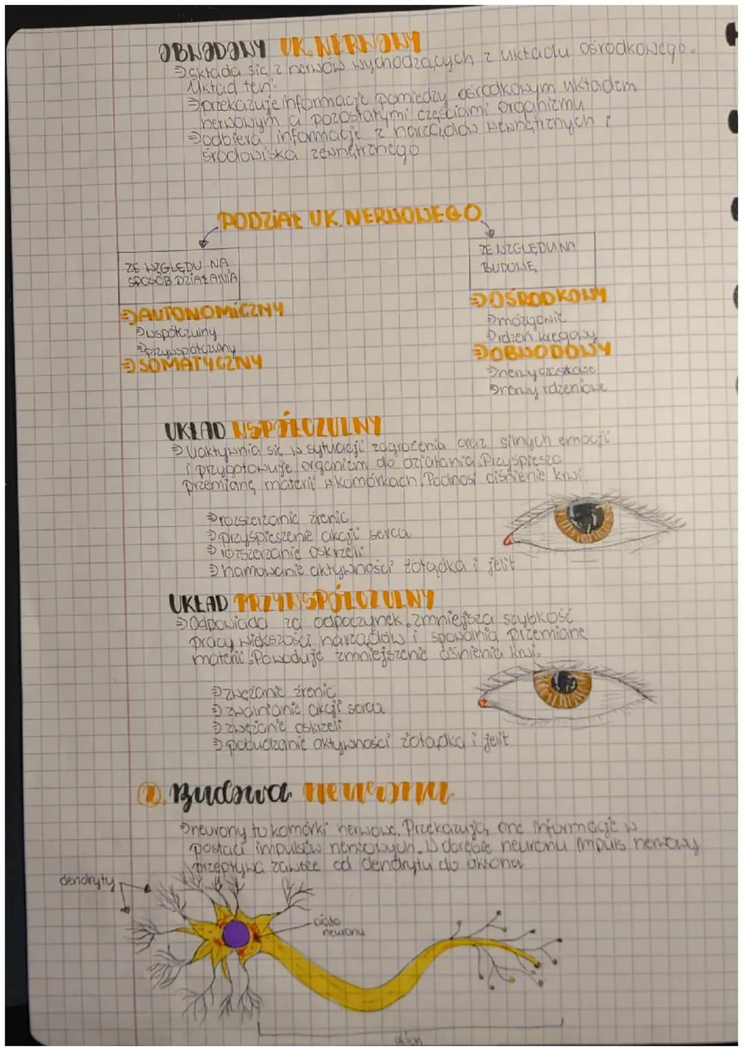+
Biologia
ulroad
newwavy
Budnva i rola nts. nemaweg
FUNKCJE
Podbieranie i analizowanie loodźców płynących z
narządów wewnętrznych oraz środ