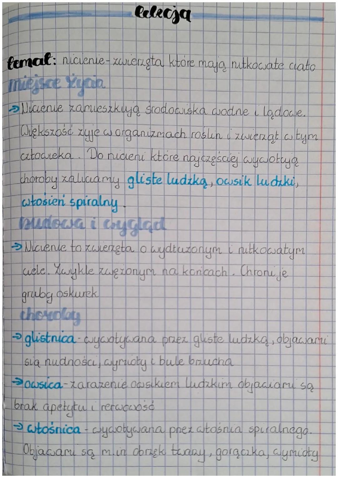 Wszystko o Nicieniach: Charakterystyka i Ciekawostki