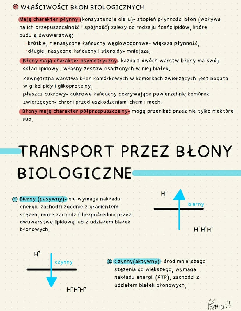 BŁONY BIOLOGICZNE
Ⓒ FUNKCJE:
naturalne bariery ochronne,
↳> odbierają sygnały z otoczenia i przekazują do wnętrza kom/organelli,
↳ pośrednic