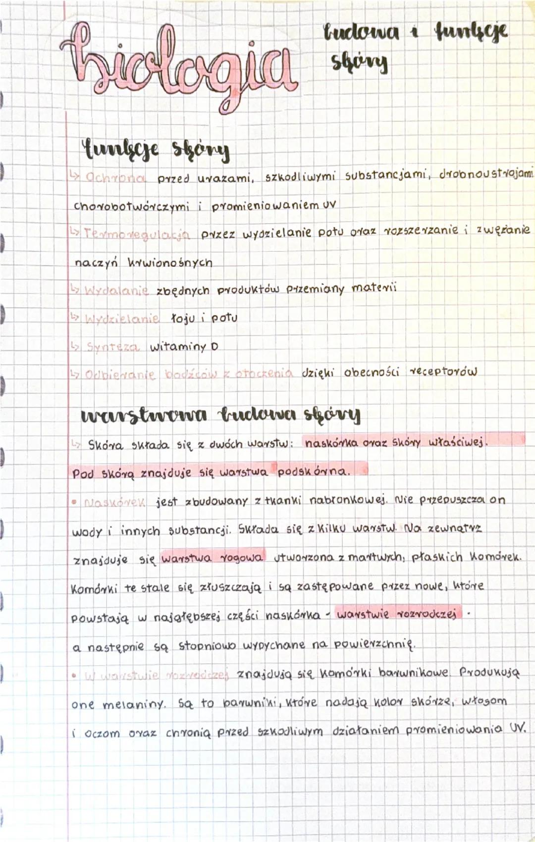 Budowa i funkcje skóry 