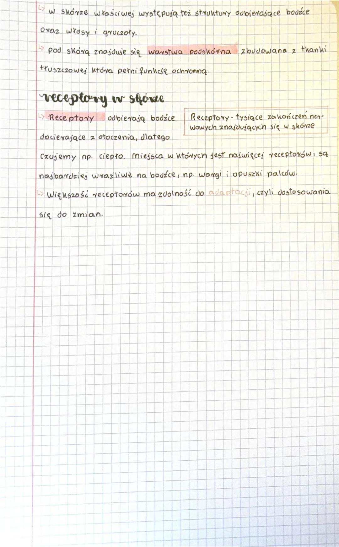 # biologia

## budowa i funkcje skóry

### Funkcje skóry
- Ochrona przed urazami, szkodliwymi substancjami, drobnoustrojami chorobotwórczymi