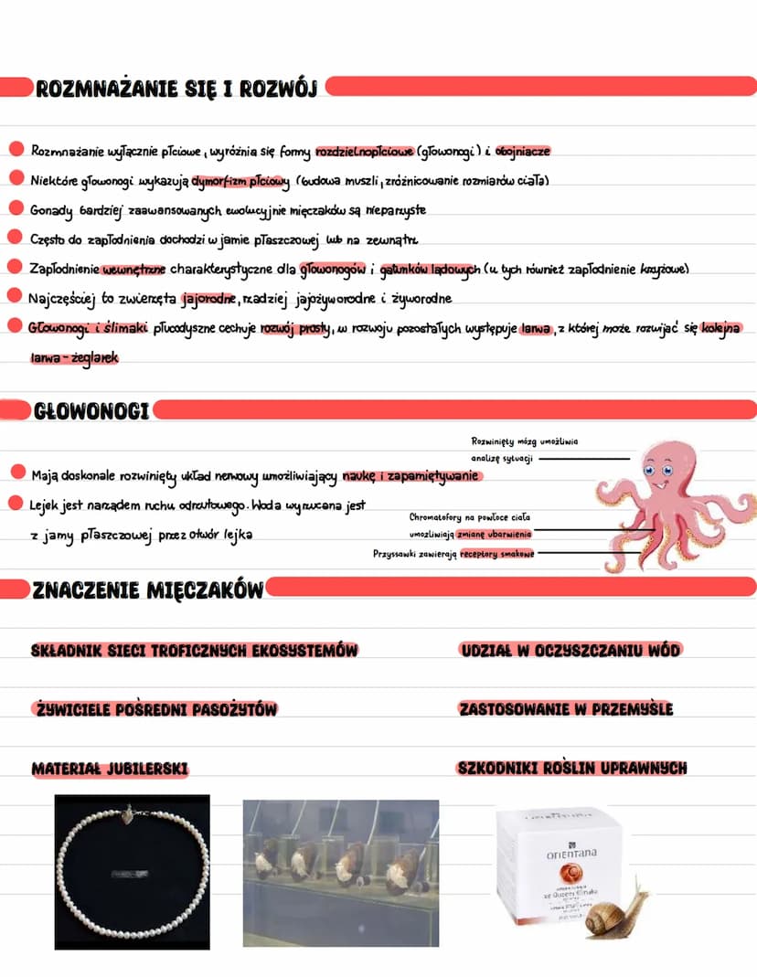 MIĘCZAKI
Większość żyje w morzach i oceanach, nieliczne gatunki w wodach słodkich, czy na lądzie dzięki możliwości zapadania w stan anabiozy