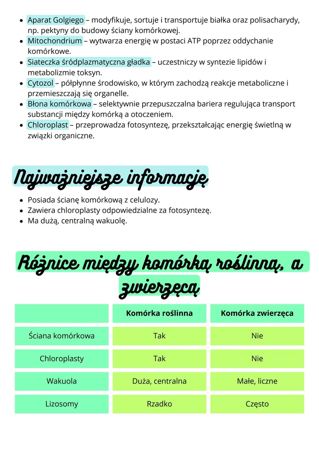 --- OCR Start ---
Budowa i funkcja komórki. Rodzaje
komórek
Komórki
prokariotyczne
• nie mają jądra komórkowego
• komórki m.in. bakterii
• m